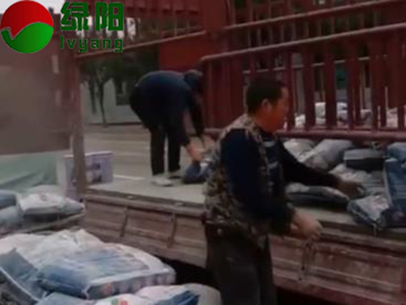 透水混凝土路面结构可以如何划分？